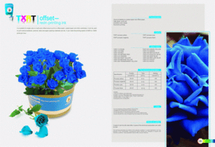 免费下载七彩风格画册模板PSD素材 包装印刷广告设计必备资源