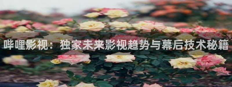 哔哩影视：独家未来影视趋势与幕后技术秘籍