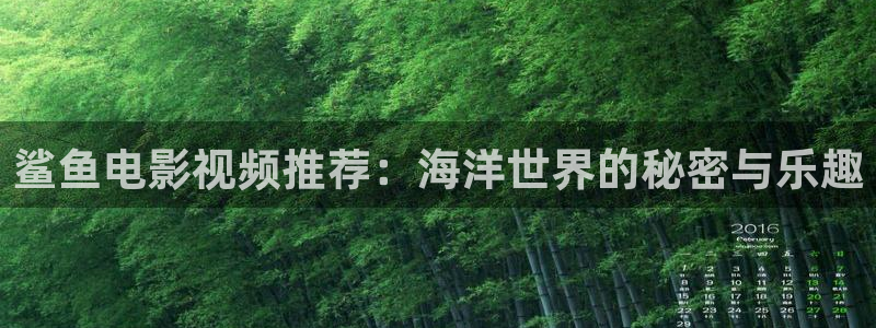 鲨鱼电影视频推荐：海洋世界的秘密与乐趣
