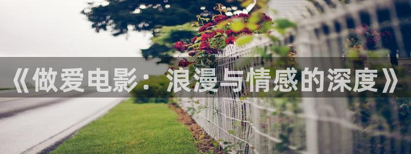 《做爱电影：浪漫与情感的深度》