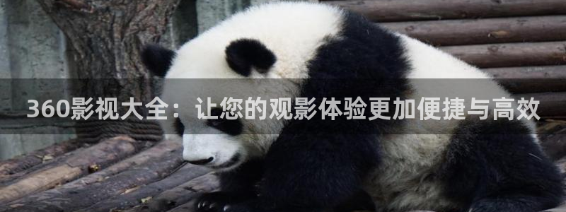 360影视大全：让您的观影体验更加便捷与高效
