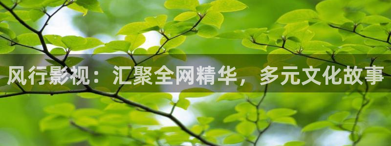 风行影视：汇聚全网精华，多元文化故事