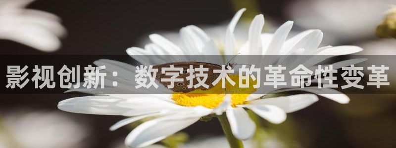影视创新：数字技术的革命性变革