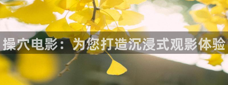 操穴电影：为您打造沉浸式观影体验