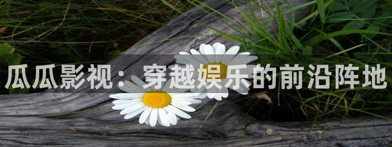 瓜瓜影视：穿越娱乐的前沿阵地