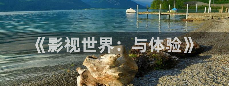 《影视世界：与体验》