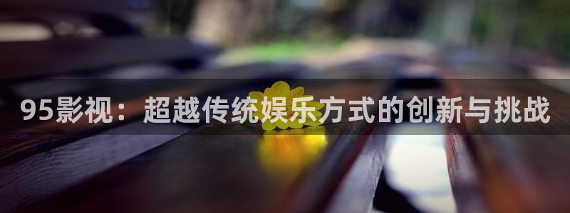 95影视：超越传统娱乐方式的创新与挑战