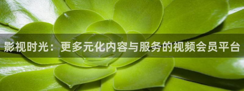 影视时光：更多元化内容与服务的视频会员平台